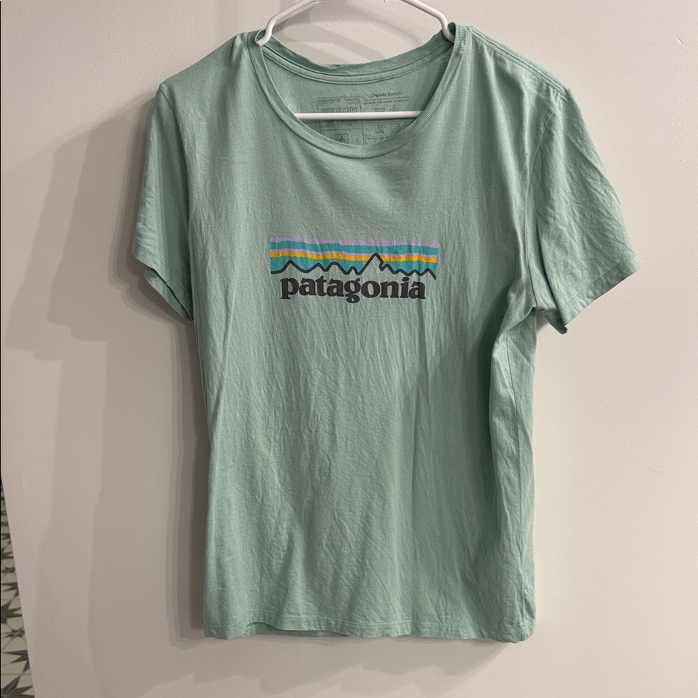 Patagonia sage Green Graphic T-Shirt